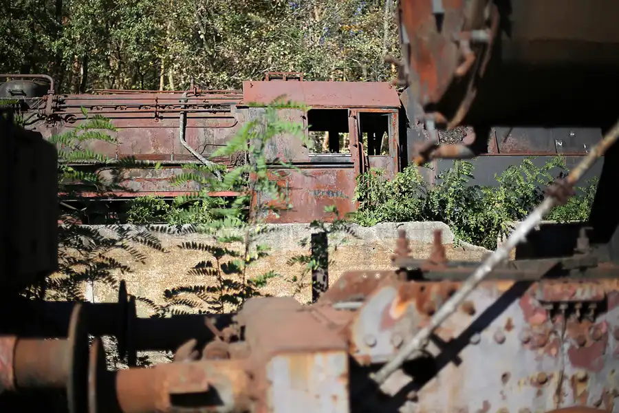 128 | 2018 | Falkenberg/Elster | Loksammlung Falkenberg | © carsten riede fotografie