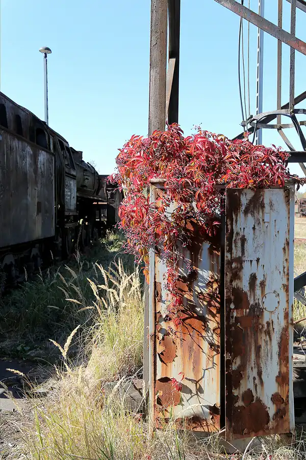135 | 2018 | Falkenberg/Elster | Loksammlung Falkenberg | © carsten riede fotografie