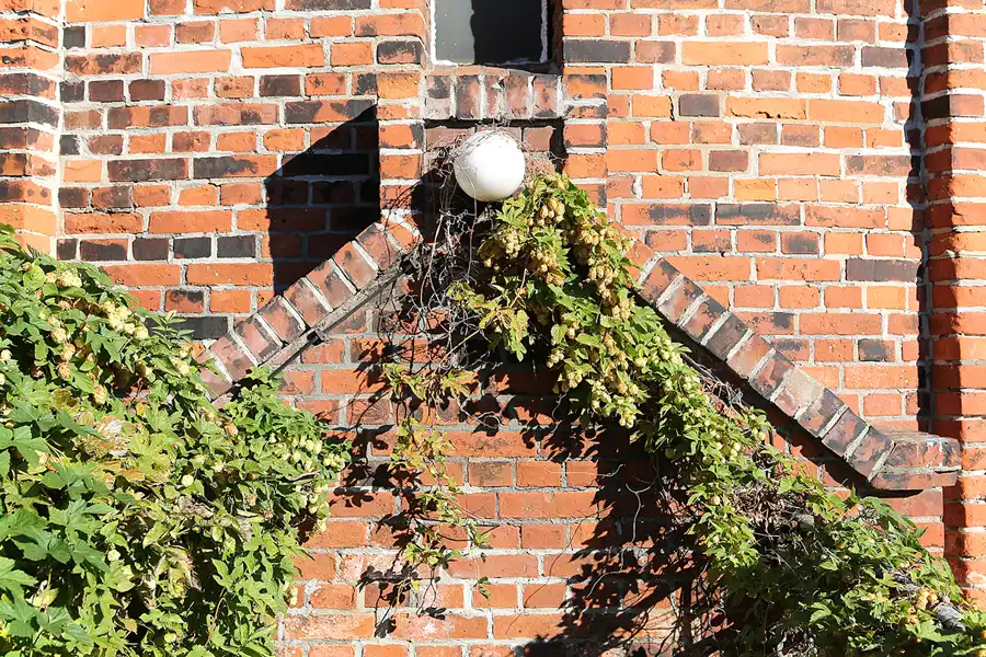 193 | 2018 | Falkenberg/Elster | Loksammlung Falkenberg | © carsten riede fotografie