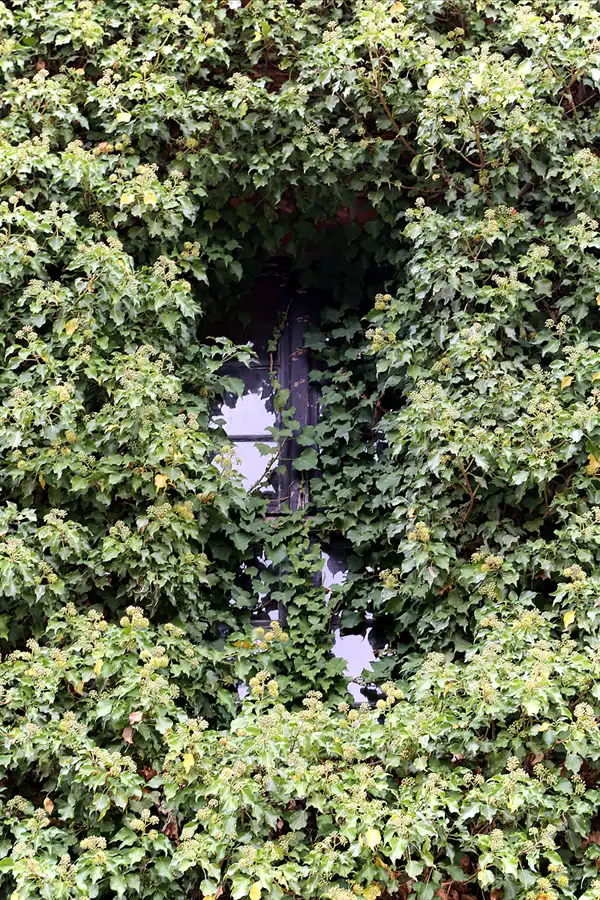 024 | 2018 | Perleberg | © carsten riede fotografie