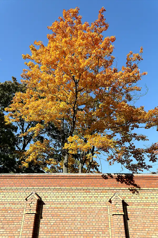 010 | 2018 | Berlin | Königin Elisabeth Herzberge | © carsten riede fotografie