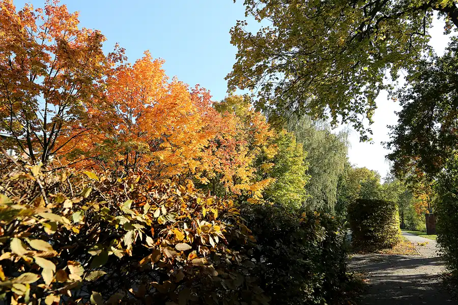 012 | 2018 | Berlin | Königin Elisabeth Herzberge | © carsten riede fotografie