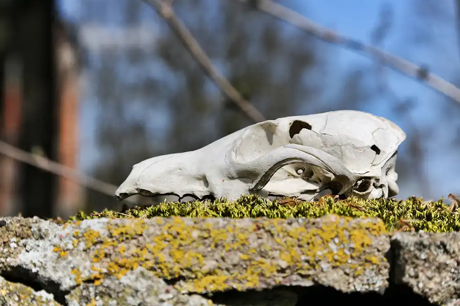 006 | 2019 | Flieth | © carsten riede fotografie