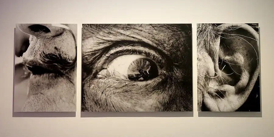 063 | 2019 | Figueres | Teatre-Museu Dali | © carsten riede fotografie