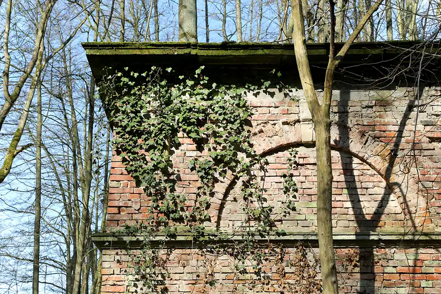 021 | 2019 | Boitzenburg | © carsten riede fotografie