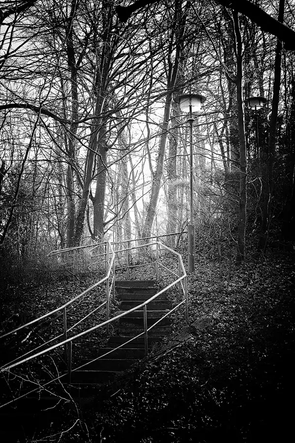 022 | 2019 | Boitzenburg | © carsten riede fotografie