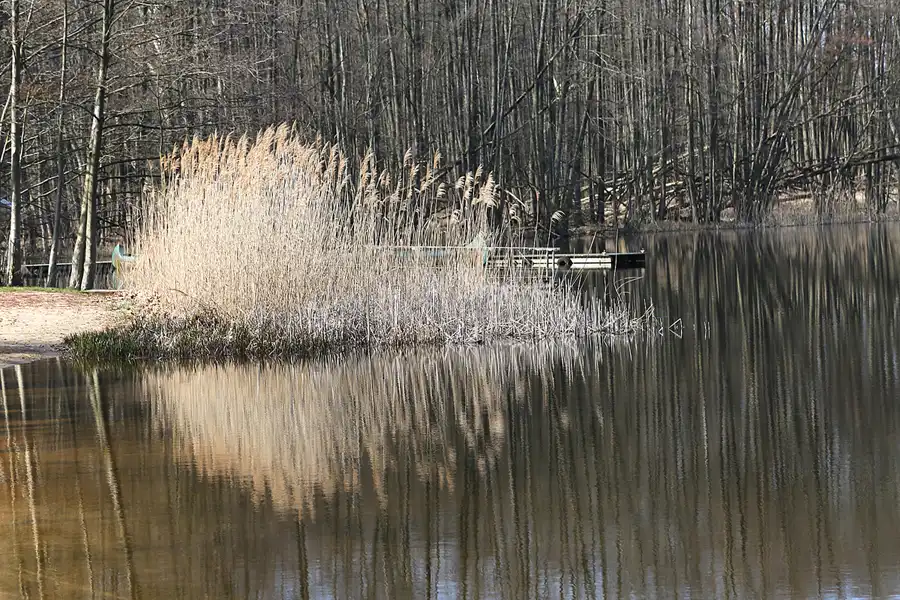 025 | 2019 | Boitzenburg | Küchenteich | © carsten riede fotografie
