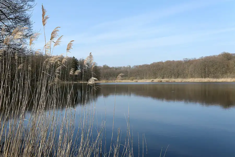 026 | 2019 | Boitzenburg | Küchenteich | © carsten riede fotografie