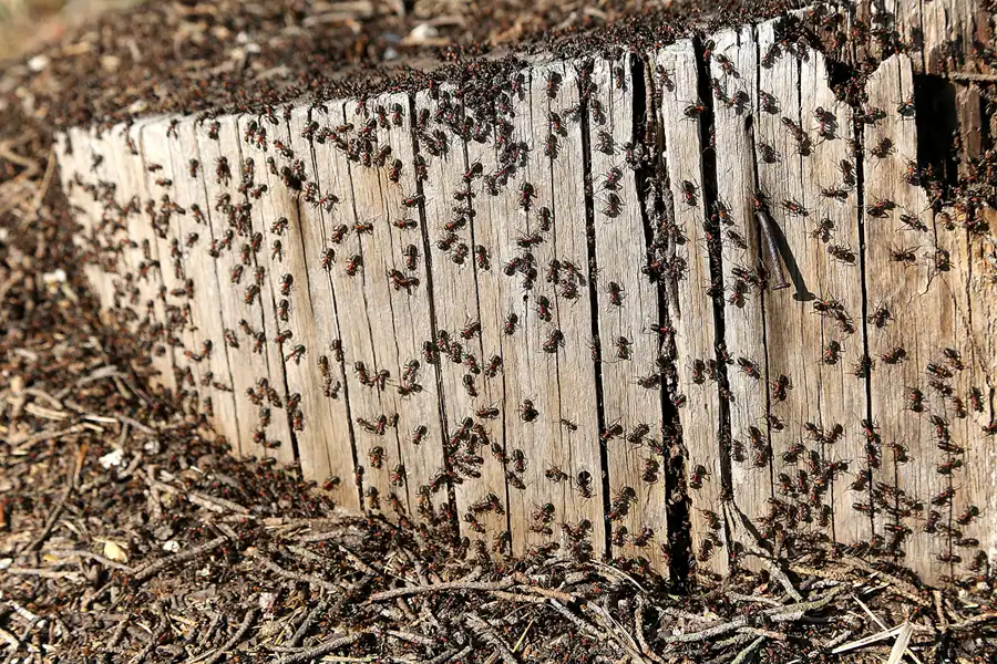 050 | 2019 | Finowfurt | Luftfahrtmuseum | © carsten riede fotografie