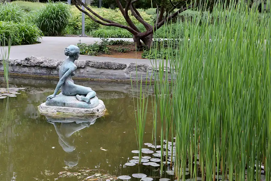 124 | 2019 | Budapest | Margareteninsel – Margit-szigeti | © carsten riede fotografie