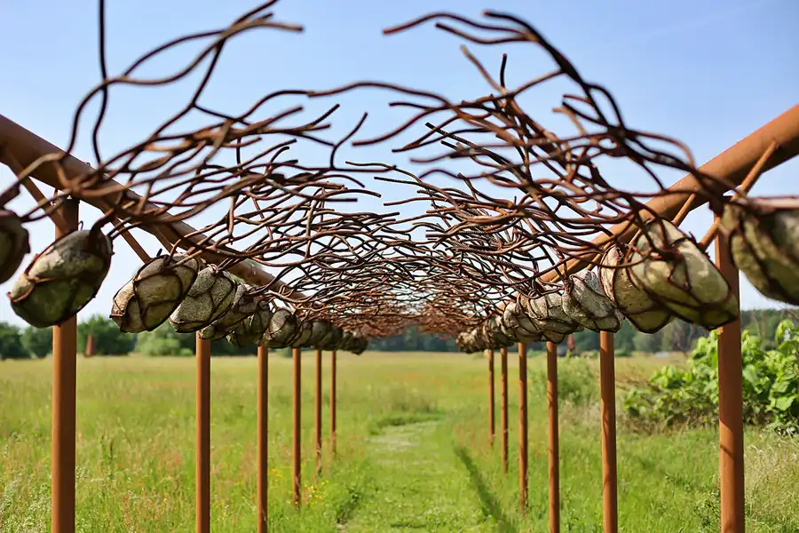 019 | 2019 | Katzow | Skulpturenpark | © carsten riede fotografie