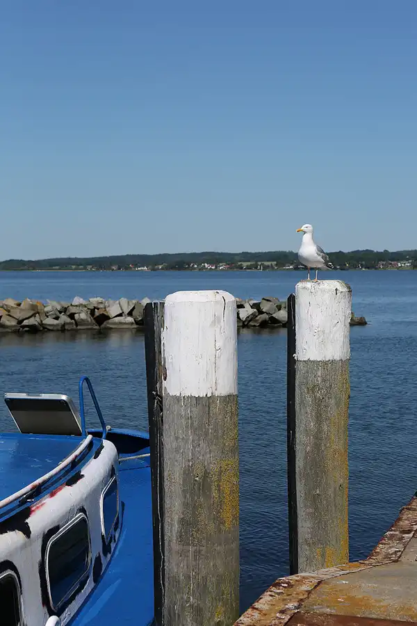 001 | 2019 | Insel Vilm | © carsten riede fotografie
