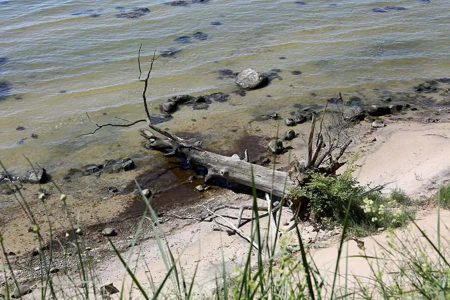 009 | 2019 | Insel Vilm | © carsten riede fotografie