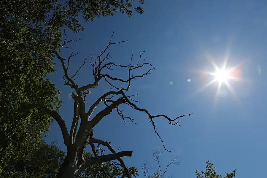 010 | 2019 | Insel Vilm | © carsten riede fotografie