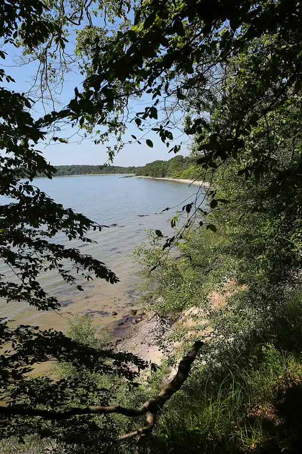 012 | 2019 | Insel Vilm | © carsten riede fotografie