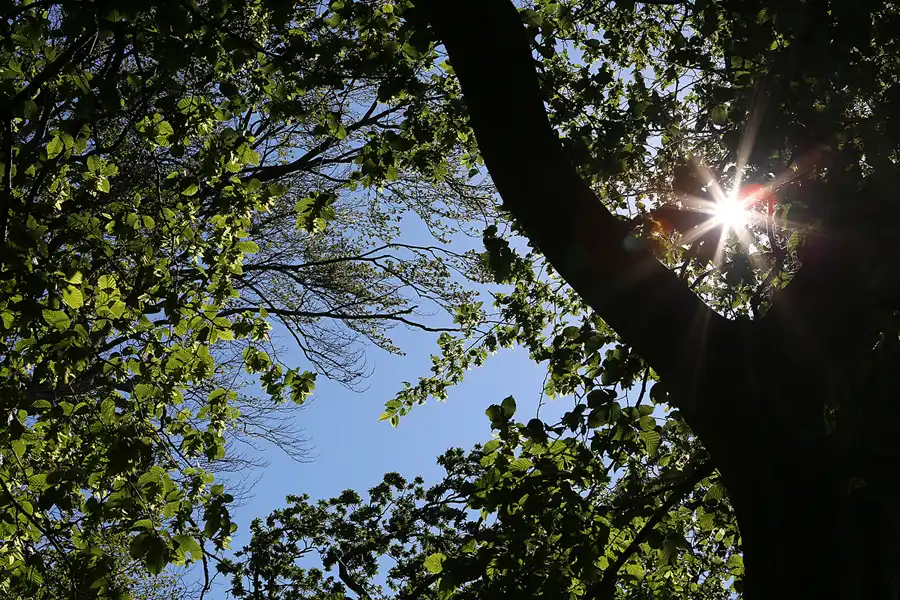016 | 2019 | Insel Vilm | © carsten riede fotografie