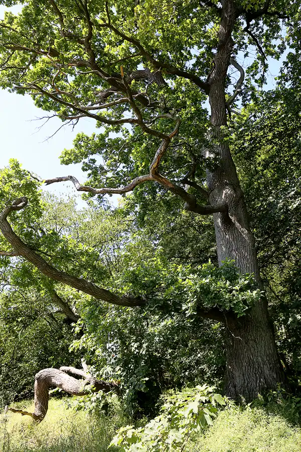 019 | 2019 | Insel Vilm | © carsten riede fotografie