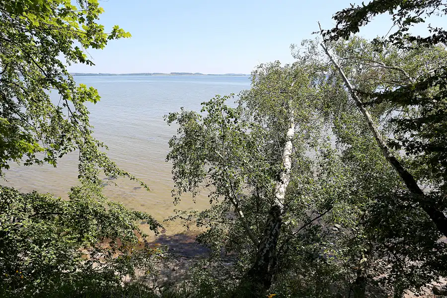 025 | 2019 | Insel Vilm | © carsten riede fotografie