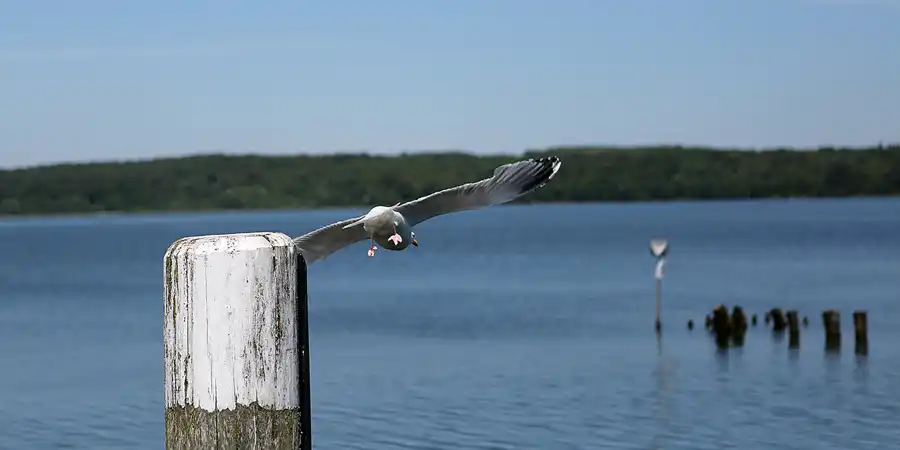 034 | 2019 | Insel Vilm | © carsten riede fotografie
