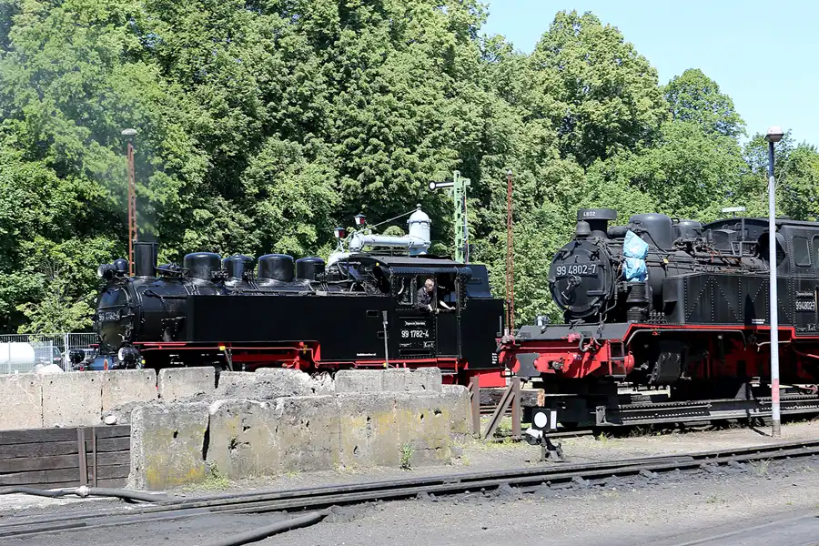 022 | 2019 | Putbus | Rasender Roland | © carsten riede fotografie