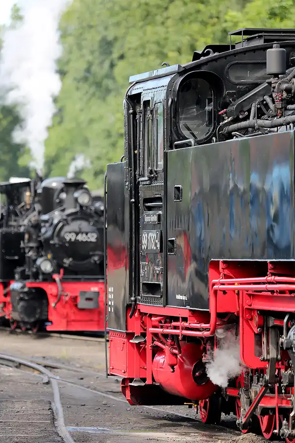 033 | 2019 | Putbus | Rasender Roland | © carsten riede fotografie