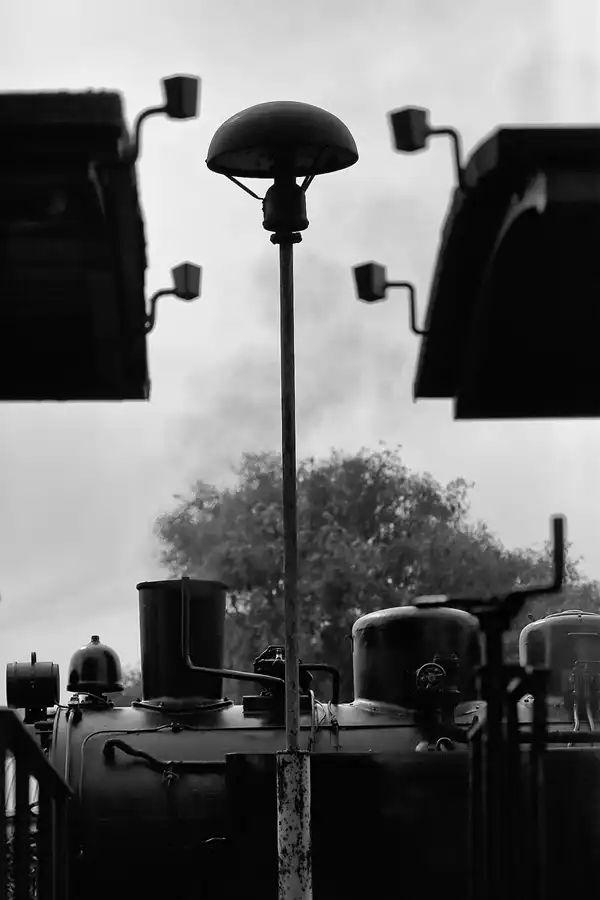 037 | 2019 | Putbus | Rasender Roland | © carsten riede fotografie