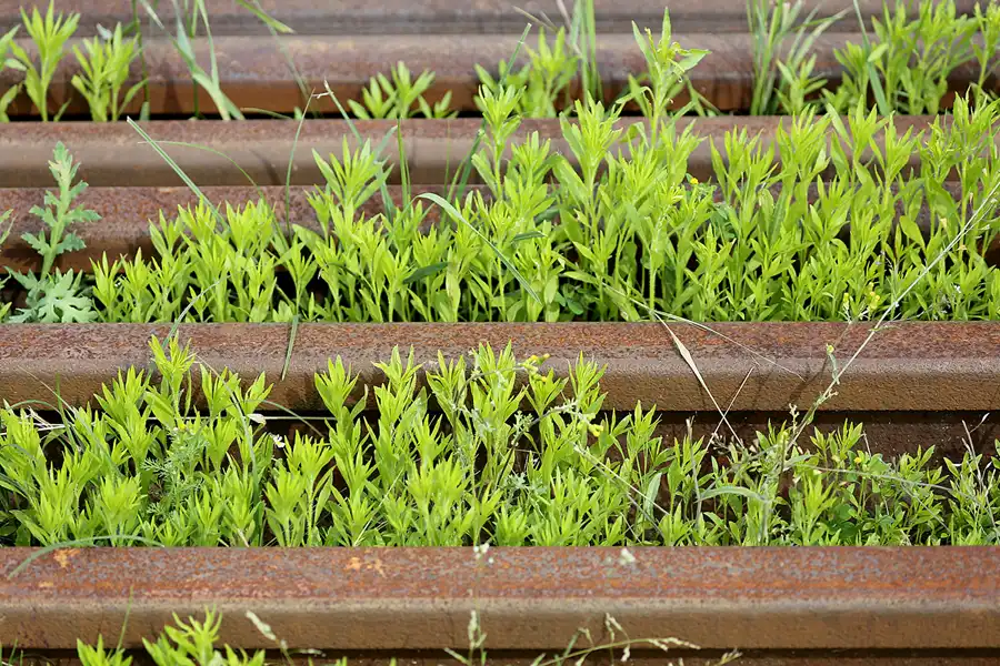 062 | 2019 | Putbus | © carsten riede fotografie