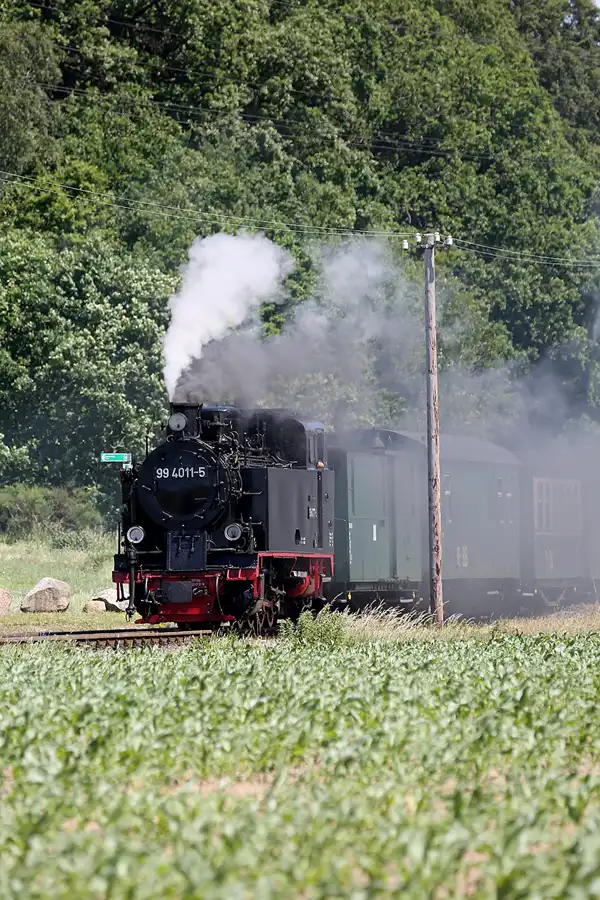 076 | 2019 | Seelvitz | Rasender Roland | © carsten riede fotografie