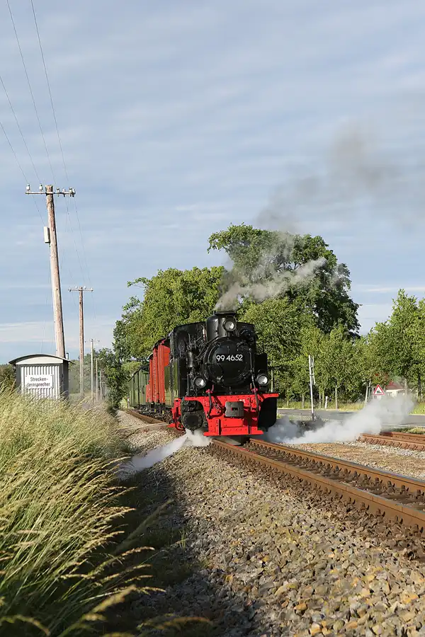 092 | 2019 | Posewald | Rasender Roland | © carsten riede fotografie