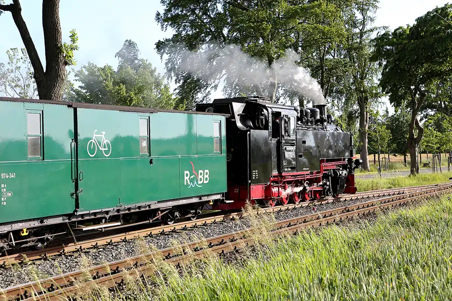 094 | 2019 | Posewald | Rasender Roland | © carsten riede fotografie