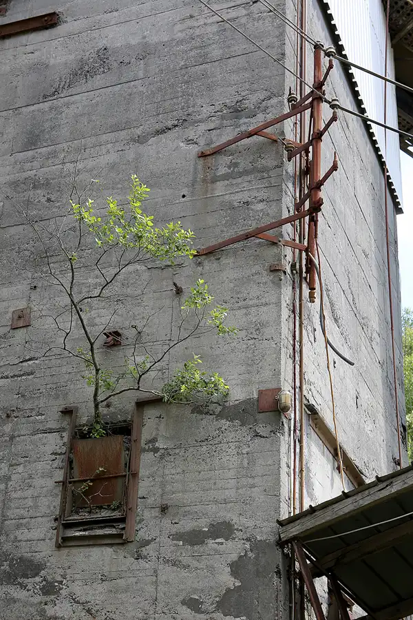 035 | 2019 | Enspel | Stöffel-Park | © carsten riede fotografie