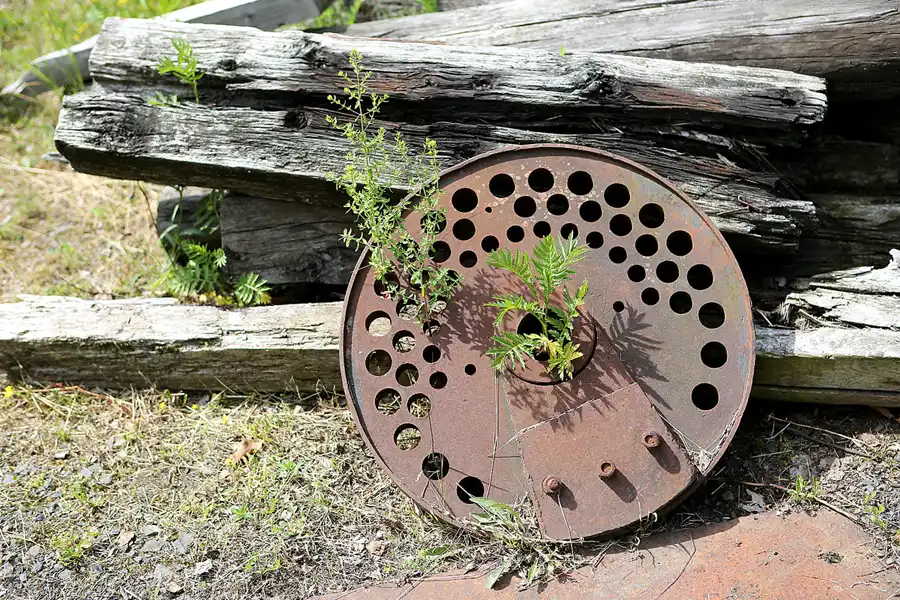 075 | 2019 | Enspel | Stöffel-Park | © carsten riede fotografie