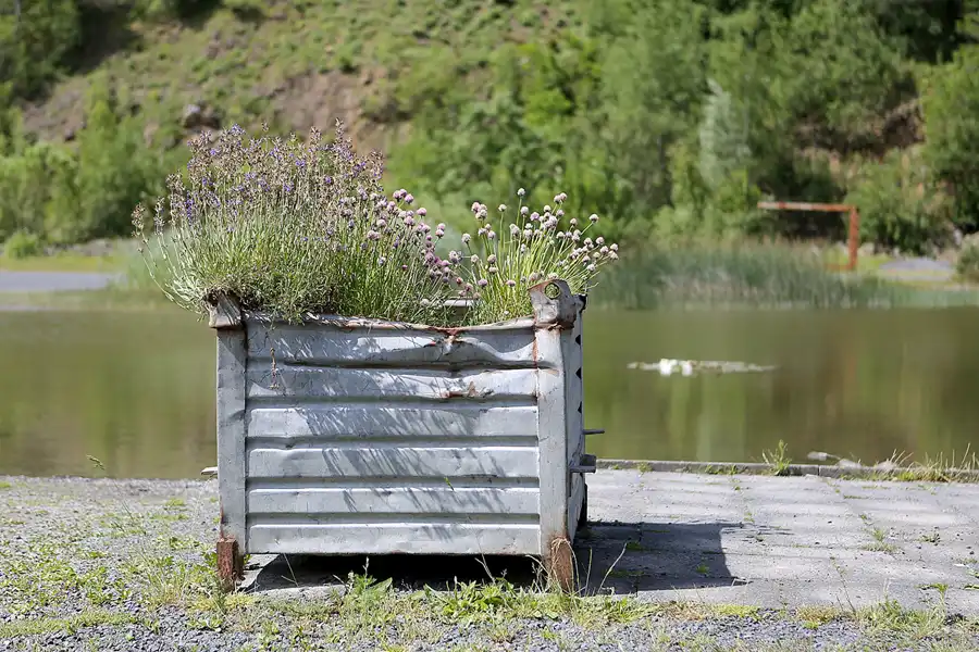 078 | 2019 | Enspel | Stöffel-Park | © carsten riede fotografie
