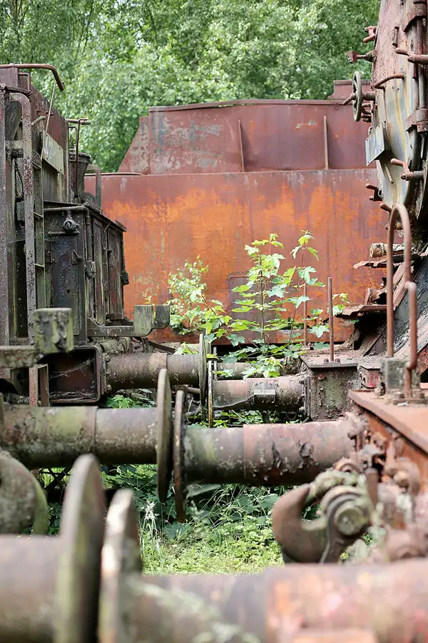 132 | 2019 | Hermeskeil | Dampflok-Museum | © carsten riede fotografie