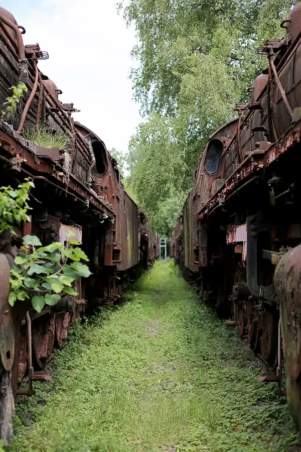 137 | 2019 | Hermeskeil | Dampflok-Museum | © carsten riede fotografie