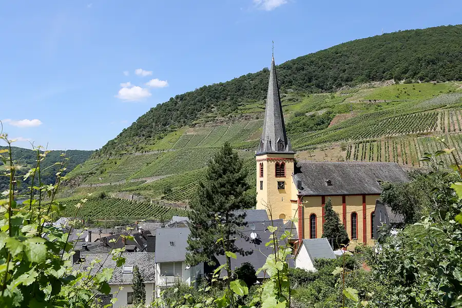 157 | 2019 | Senheim (Mosel) | © carsten riede fotografie