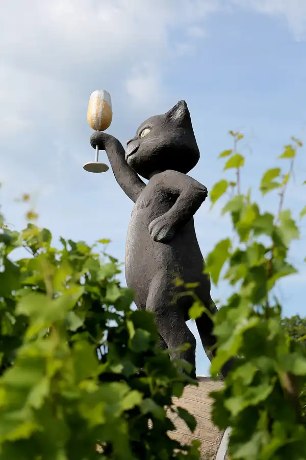 189 | 2019 | Zell (Mosel) | © carsten riede fotografie