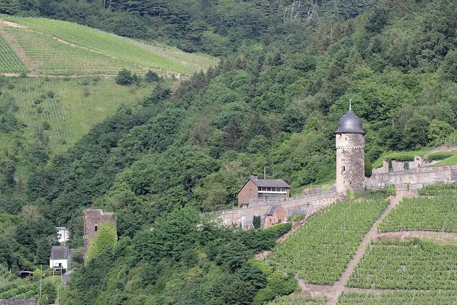 193 | 2019 | Zell (Mosel) | © carsten riede fotografie