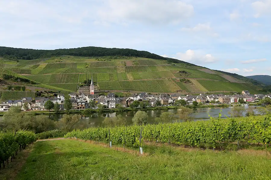194 | 2019 | Zell (Mosel) | © carsten riede fotografie