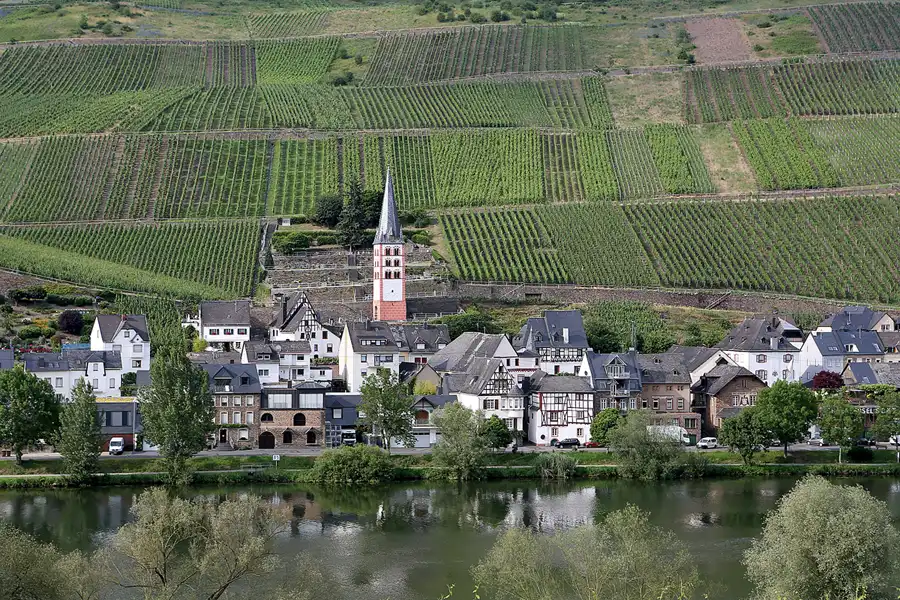 195 | 2019 | Zell (Mosel) | © carsten riede fotografie