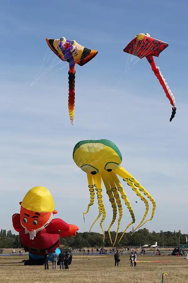 001 | 2019 | Berlin | Festival der Riesendrachen | © carsten riede fotografie