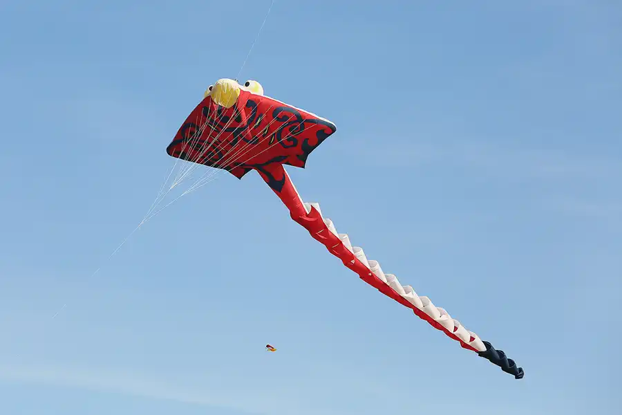 003 | 2019 | Berlin | Festival der Riesendrachen | © carsten riede fotografie