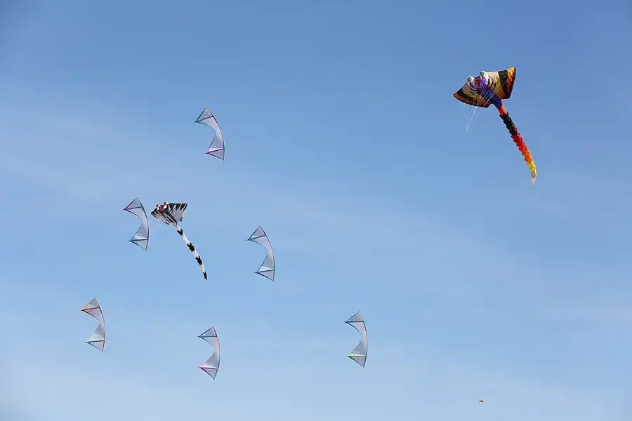 006 | 2019 | Berlin | Festival der Riesendrachen | © carsten riede fotografie