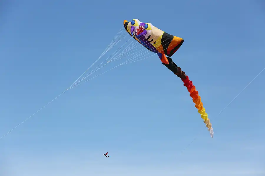 007 | 2019 | Berlin | Festival der Riesendrachen | © carsten riede fotografie