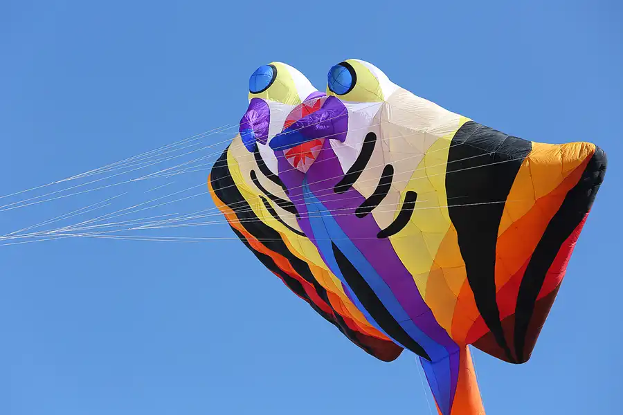 008 | 2019 | Berlin | Festival der Riesendrachen | © carsten riede fotografie