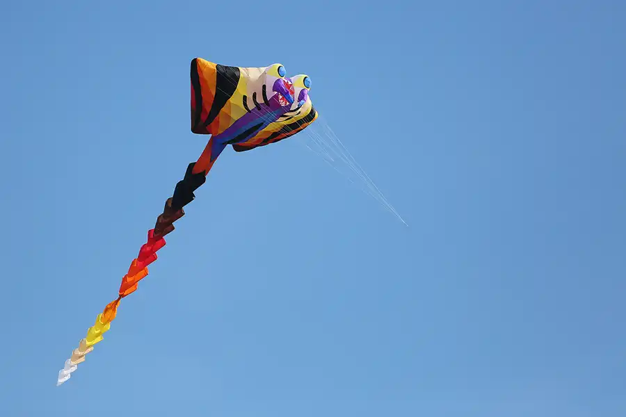 009 | 2019 | Berlin | Festival der Riesendrachen | © carsten riede fotografie