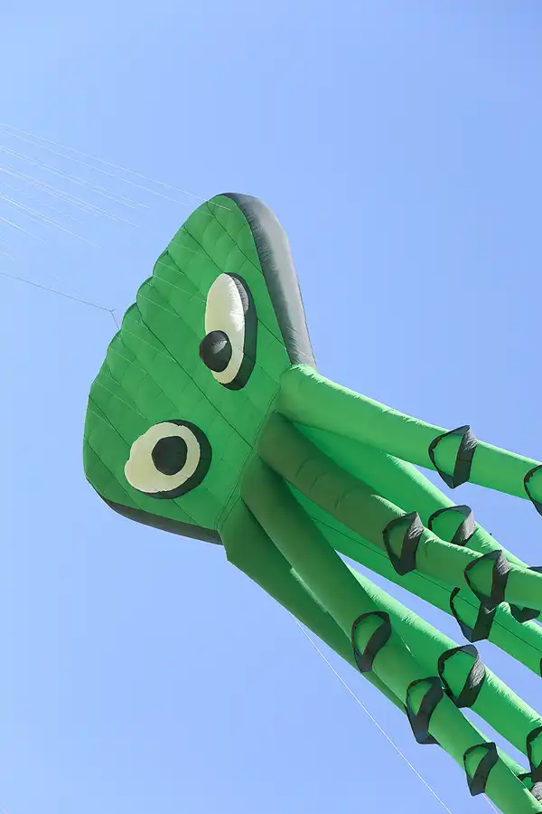 025 | 2019 | Berlin | Festival der Riesendrachen | © carsten riede fotografie