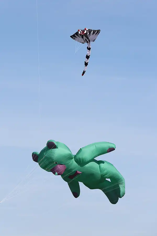 030 | 2019 | Berlin | Festival der Riesendrachen | © carsten riede fotografie