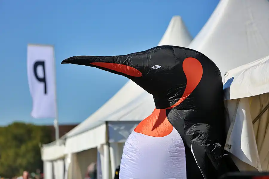 042 | 2019 | Berlin | Festival der Riesendrachen | © carsten riede fotografie