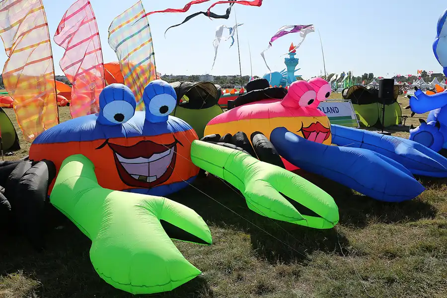 049 | 2019 | Berlin | Festival der Riesendrachen | © carsten riede fotografie